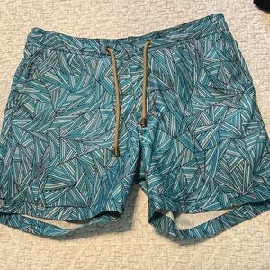 Thorsun Blue and White Patterned Swim Shorts